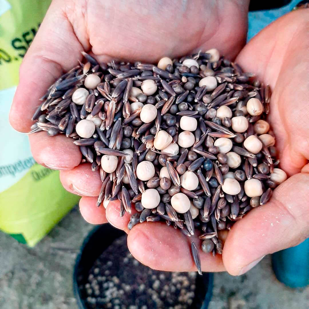 Green manure.